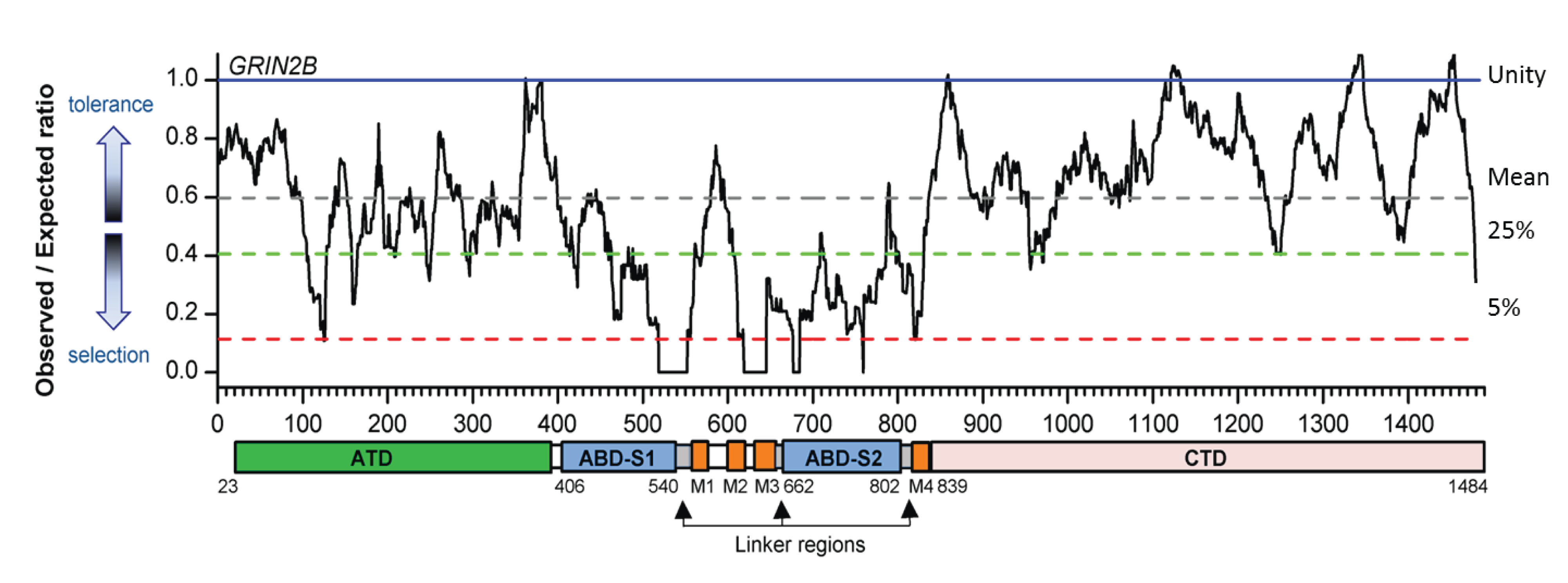 Traynelis Lab image EU