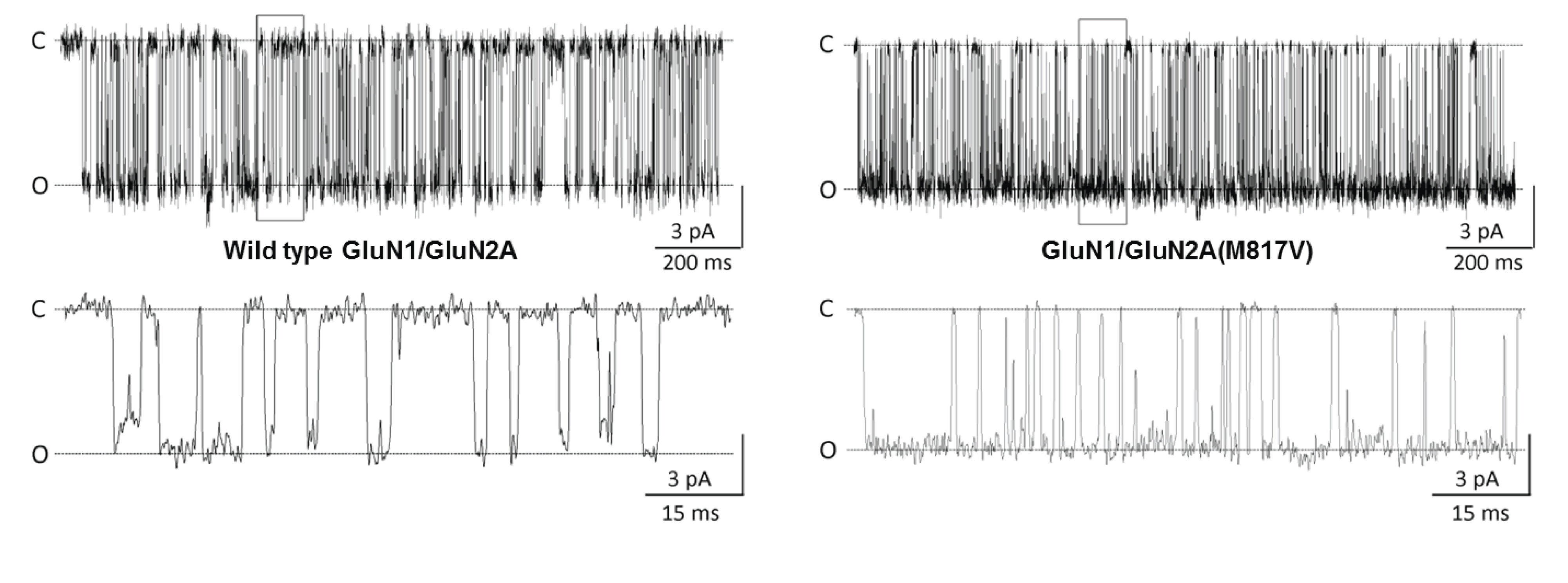 Traynelis Lab image