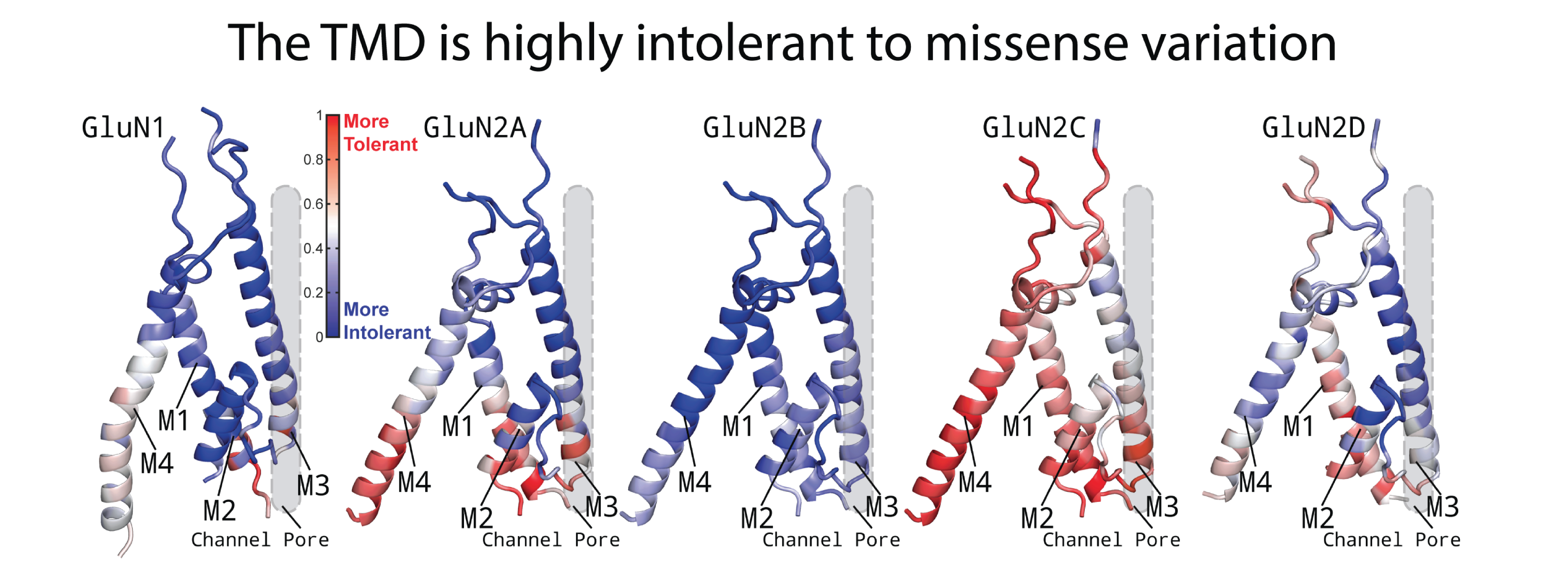 Traynelis Lab image