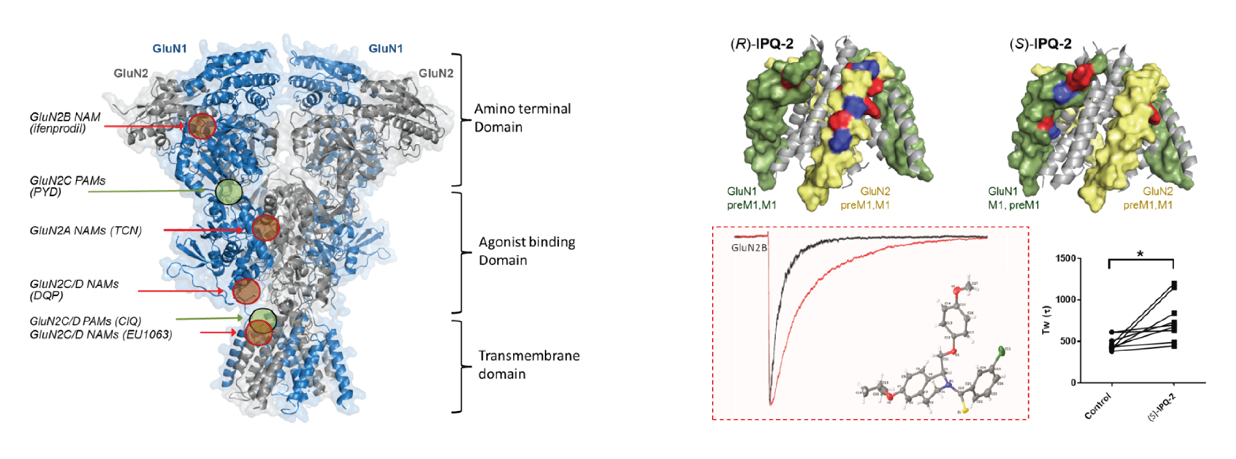 Traynelis Lab image TOC