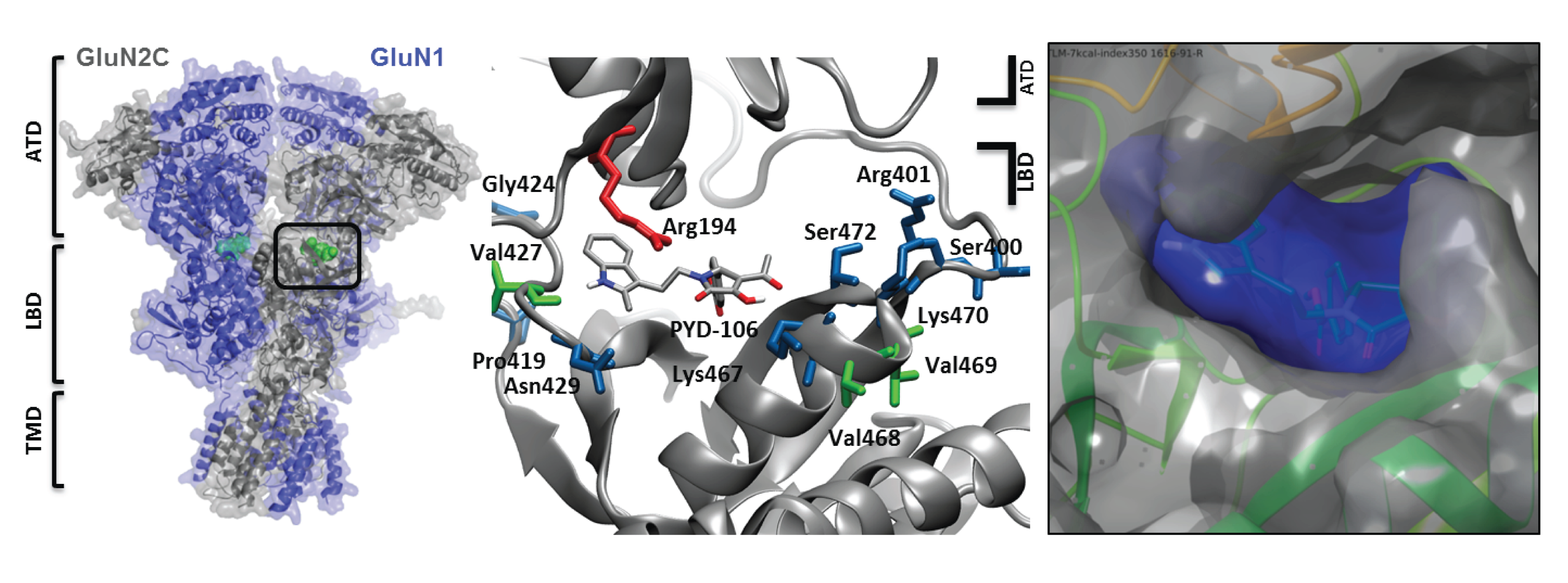 Traynelis Lab image M3 3DMTR